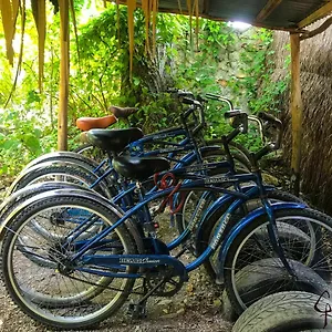 Affittacamere Guarumbo, Bacalar