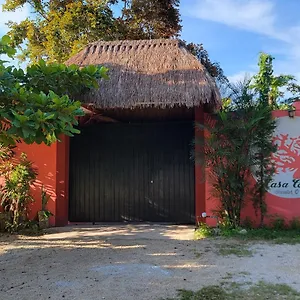 Affittacamere Casa Coral, Bacalar